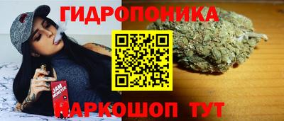 сатива Будённовск