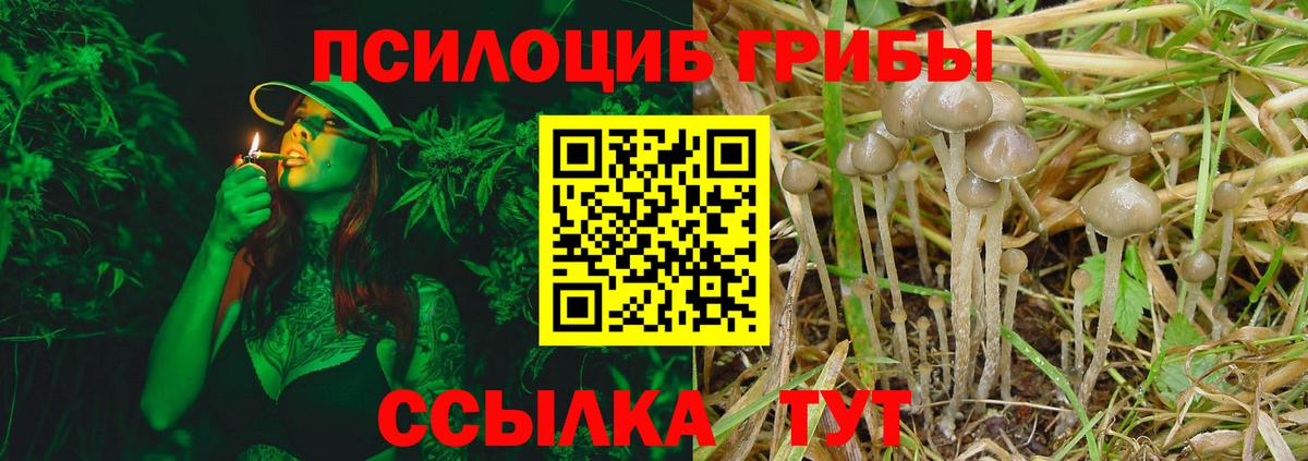 Тобольск  Псилоцибиновые грибы Cubensis  Вход с VPN  Псилоцибиновые грибы Psilocybe 