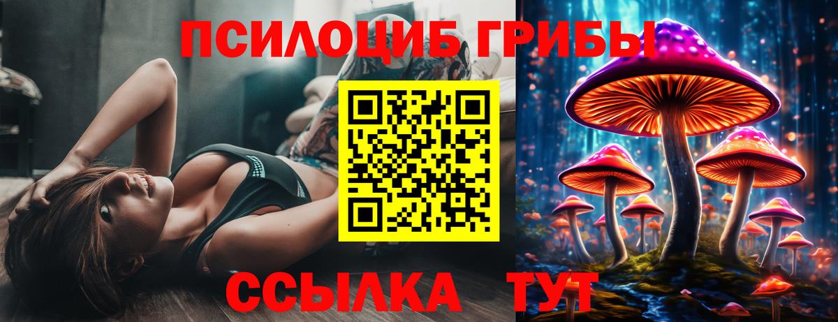 Галлюциногенные грибы мухоморы Тобольск